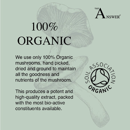 Cordyceps 100% Organic Mushroom Powder
