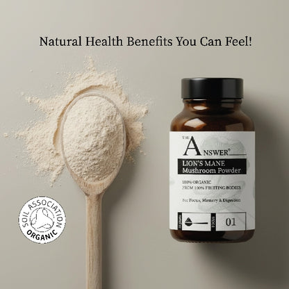 Lion's Mane 100% Organic Mushroom Powder
